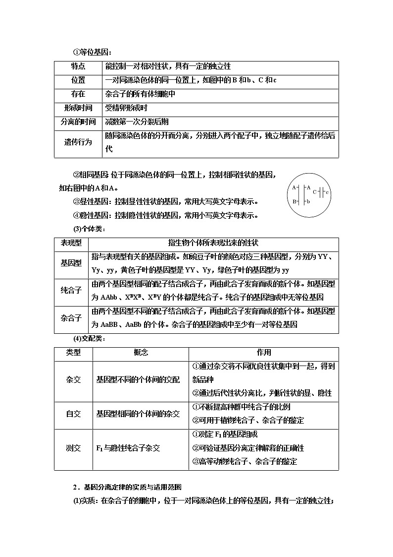 2020版高考一轮复习生物江苏专版讲义：必修2 第一单元 第1讲　孟德尔的豌豆杂交实验一03