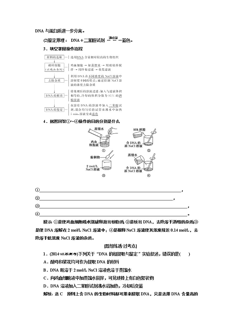 2020版高考一轮复习生物江苏专版讲义：选修1 第4讲 DNA的粗提取与鉴定02