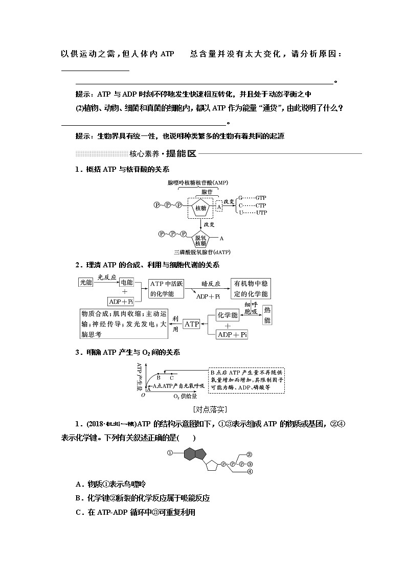 2020版高考一轮复习生物新课改省份专用讲义：第三单元 第二讲 ATP与细胞呼吸03