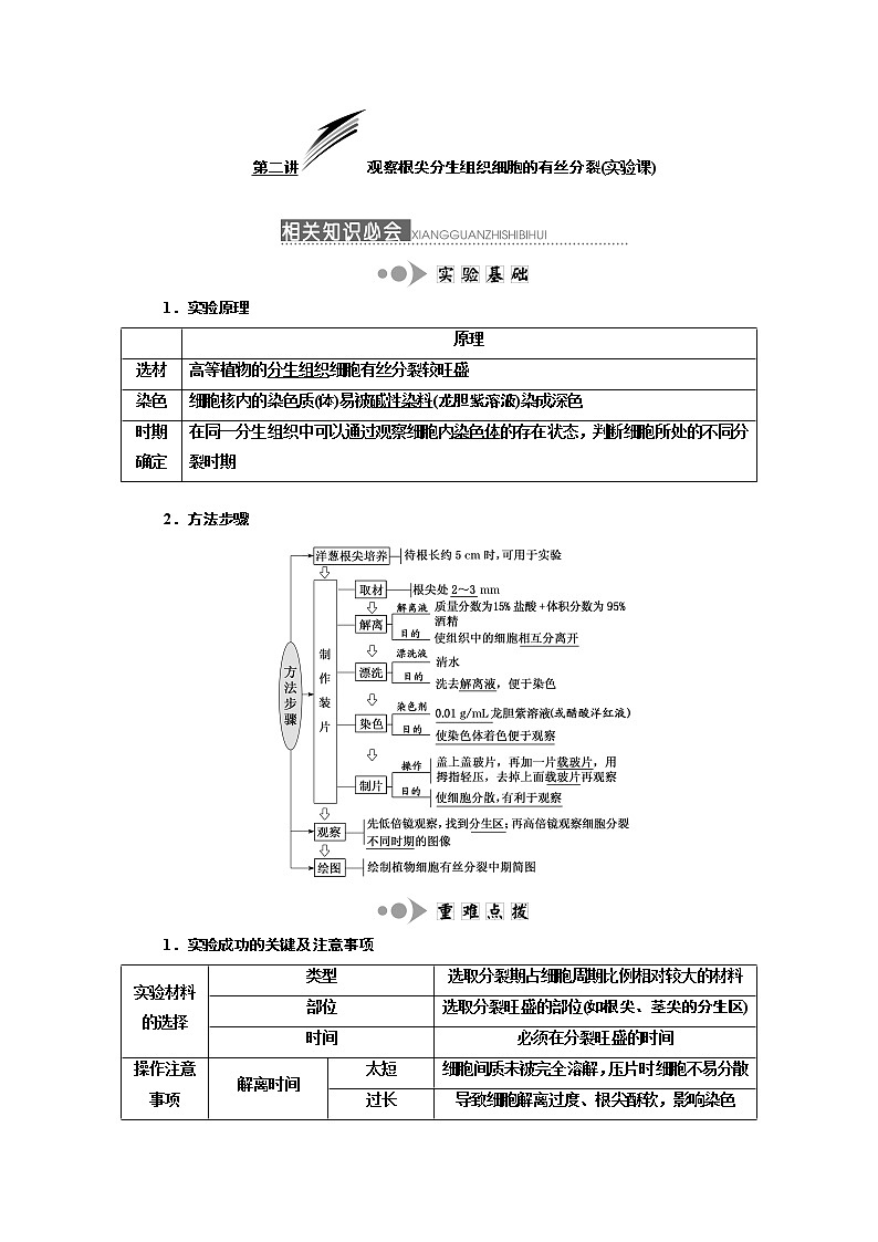 2020版高考一轮复习生物新课改省份专用讲义：第四单元 第二讲 观察根尖分生组织细胞的有丝分裂（实验课）01