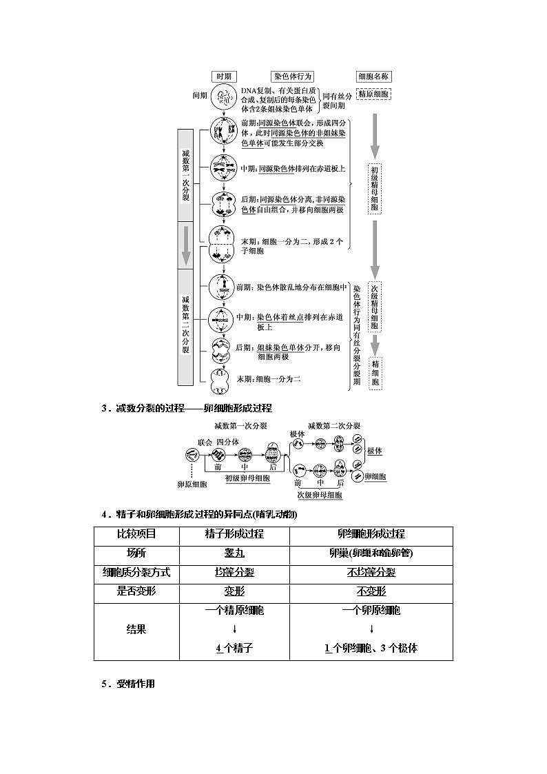 2020版高考一轮复习生物新课改省份专用讲义：第四单元 第三讲 减数分裂与受精作用02