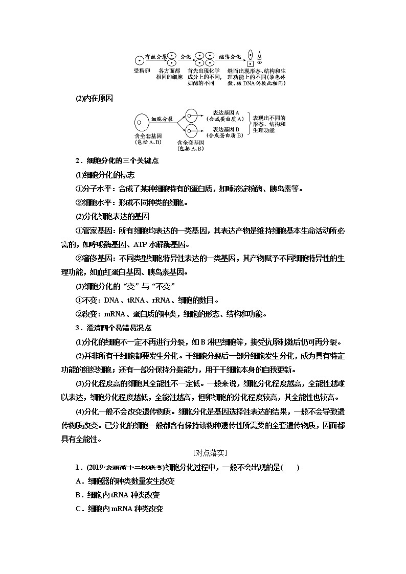 2020版高考一轮复习生物新课改省份专用讲义：第四单元 第四讲 细胞的分化、衰老、凋亡和癌变03