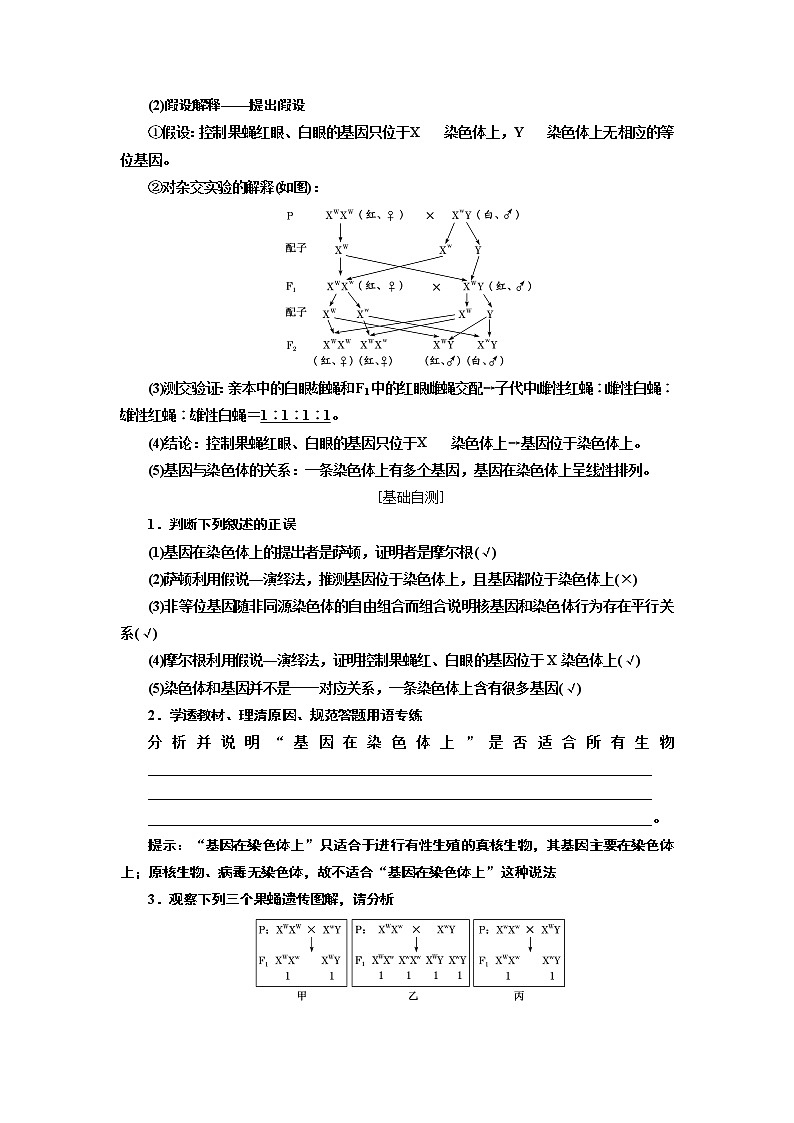 2020版高考一轮复习生物新课改省份专用讲义：第五单元 第三讲 基因在染色体上和伴性遗传02
