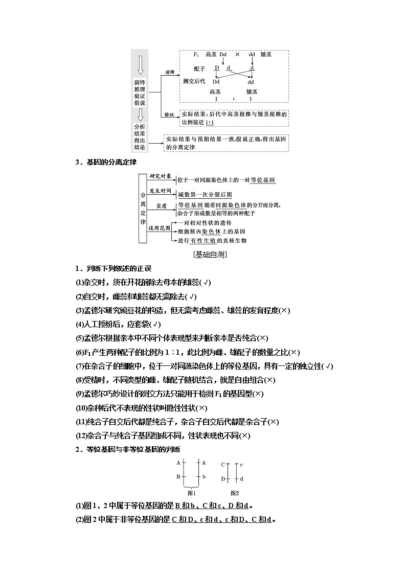 2020版高考一轮复习生物新课改省份专用讲义：第五单元 第一讲 孟德尔的豌豆杂交实验（一）02