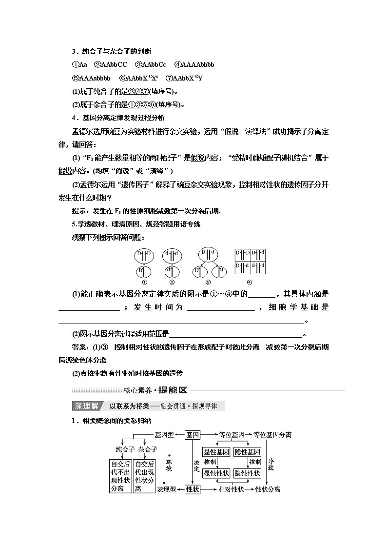 2020版高考一轮复习生物新课改省份专用讲义：第五单元 第一讲 孟德尔的豌豆杂交实验（一）03