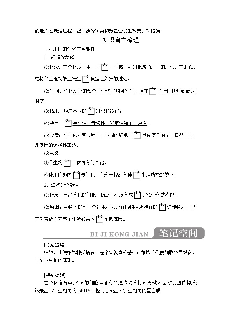 2020年高考生物一轮复习讲义：必修1 第四单元 第13讲 细胞的分化、衰老、凋亡及癌变02