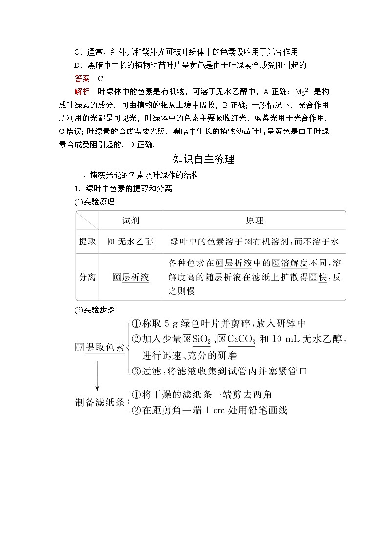 2020年高考生物一轮复习讲义：必修1 第三单元 第10讲 光合作用的探究历程与基本过程02