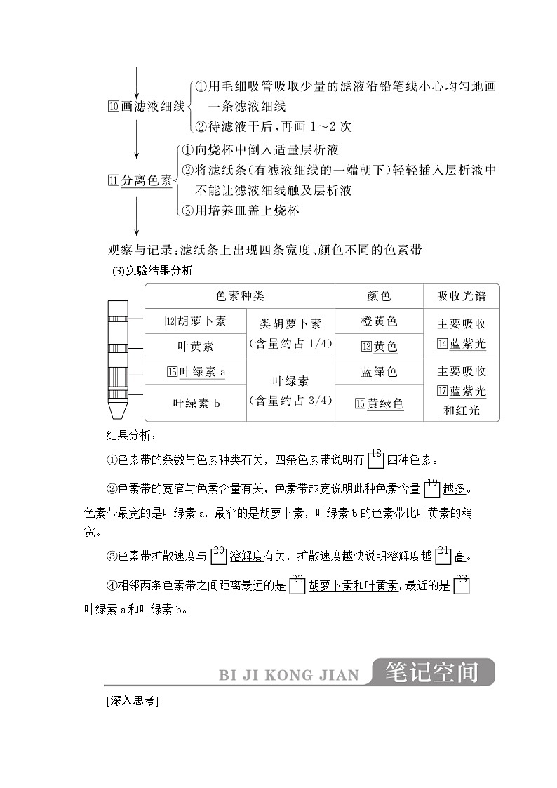 2020年高考生物一轮复习讲义：必修1 第三单元 第10讲 光合作用的探究历程与基本过程03