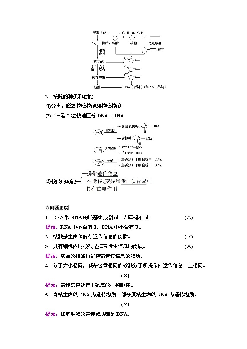2021高三生物人教版一轮教师用书：必修1第1单元第4讲　核酸、糖类和脂质第2页