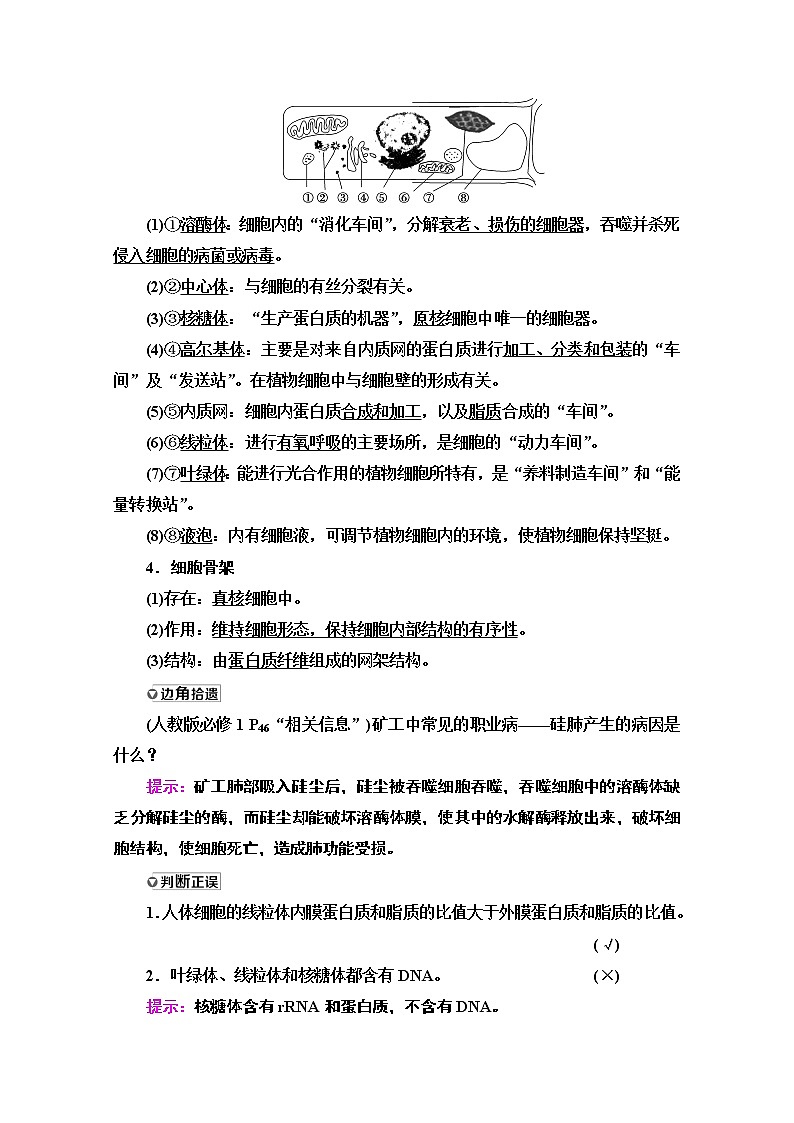 2021高三生物人教版一轮教师用书：必修1第2单元第2讲　细胞器——系统内的分工合作第2页