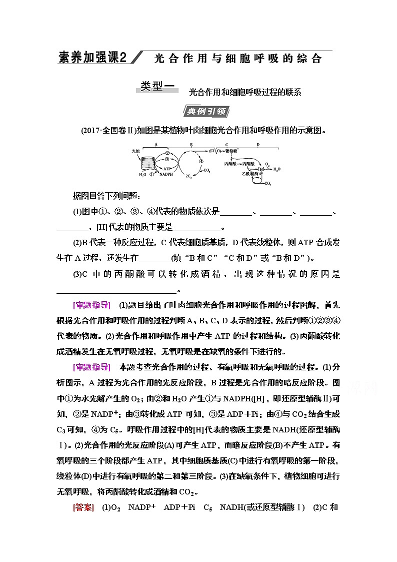 2021高三生物人教版一轮教师用书：必修1第3单元素养加强课2光合作用细胞呼吸的综合01