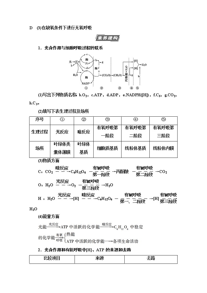 2021高三生物人教版一轮教师用书：必修1第3单元素养加强课2光合作用细胞呼吸的综合02