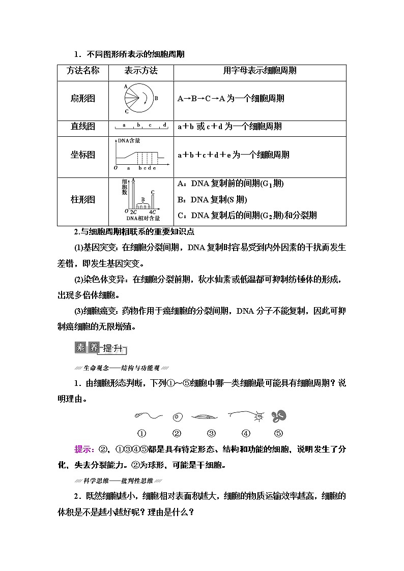 2021高三生物人教版一轮教师用书：必修1第4单元第1讲　细胞的增殖03