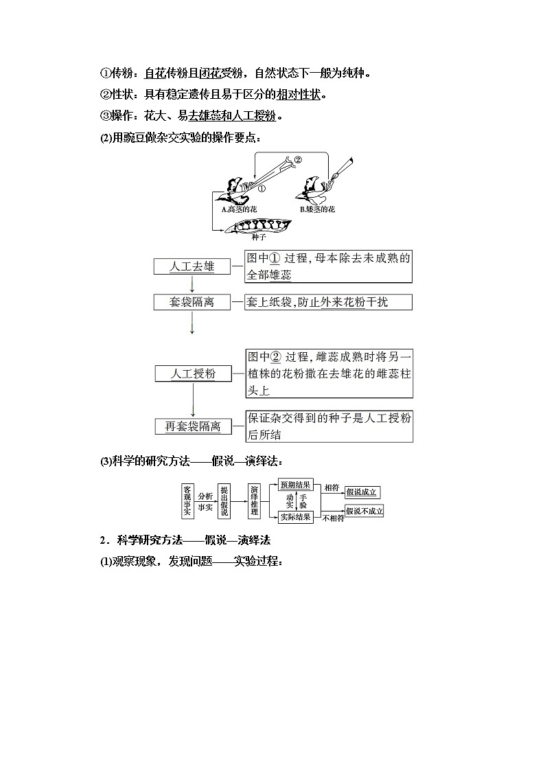 2021高三生物人教版一轮教师用书：必修2第5单元第1讲　孟德尔的豌豆杂交实验（一）02