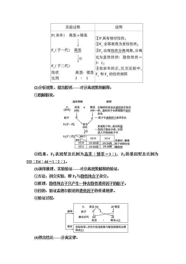 2021高三生物人教版一轮教师用书：必修2第5单元第1讲　孟德尔的豌豆杂交实验（一）03