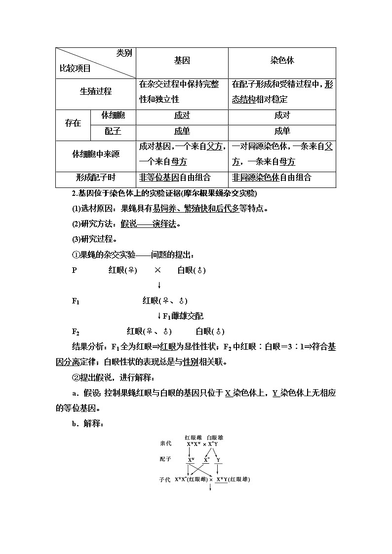 2021高三生物人教版一轮教师用书：必修2第5单元第3讲　基因在染色体上和伴性遗传02