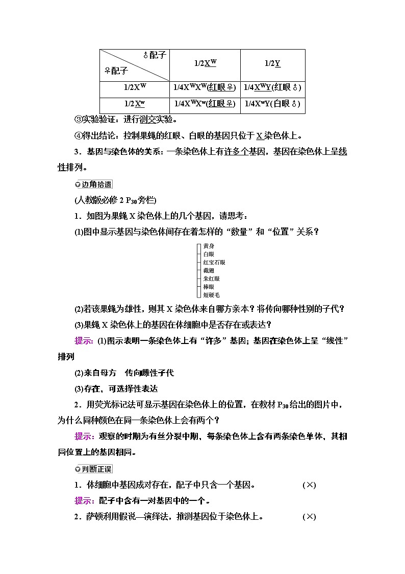 2021高三生物人教版一轮教师用书：必修2第5单元第3讲　基因在染色体上和伴性遗传03