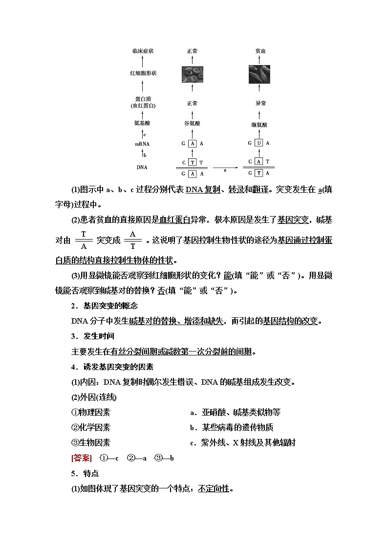 2021高三生物人教版一轮教师用书：必修2第7单元第1讲　基因突变和基因重组第2页