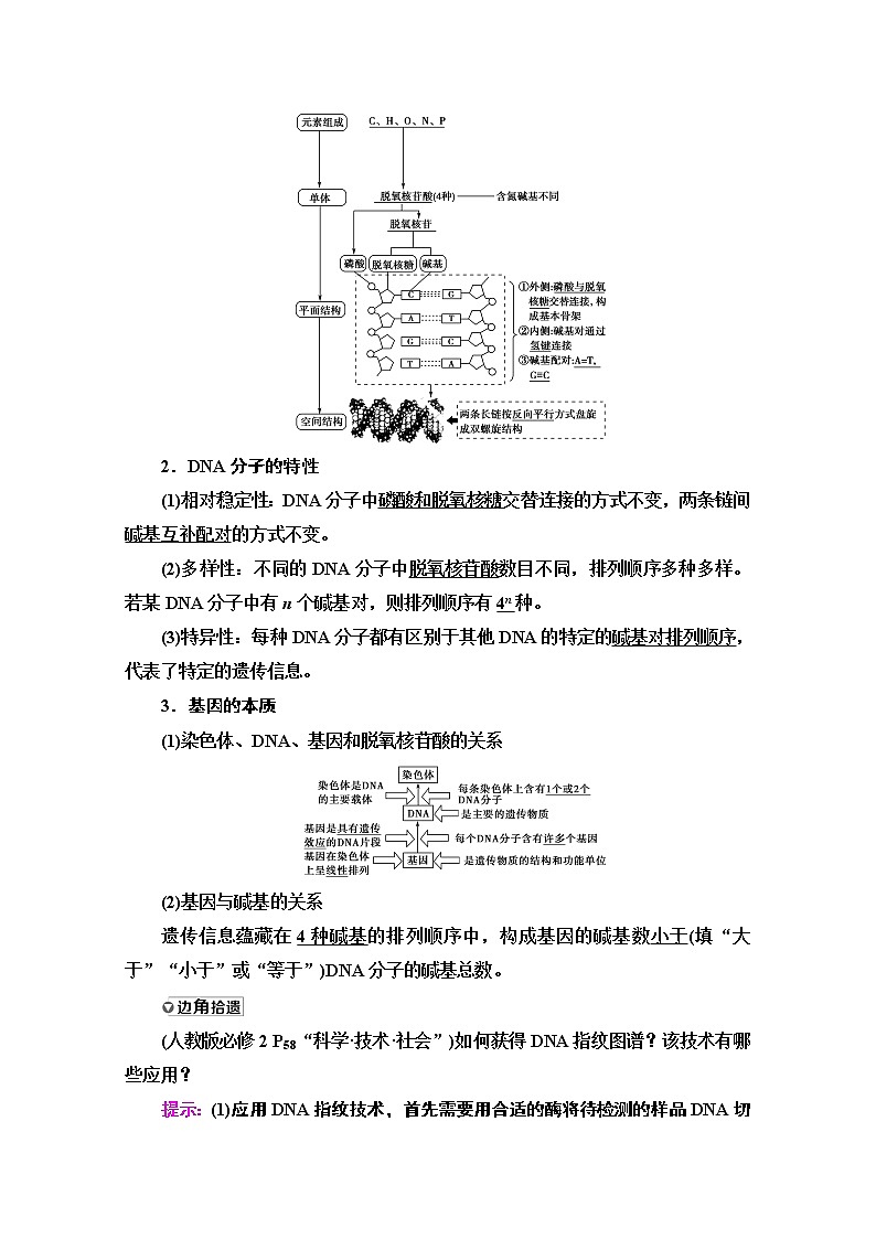2021高三生物人教版一轮教师用书：必修2第6单元第2讲　DNA分子的结构、复制与基因的本质02
