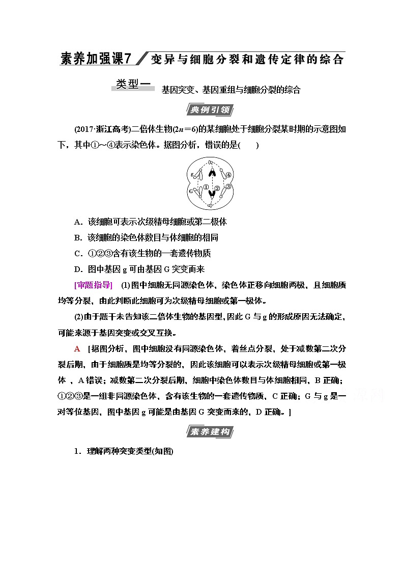 2021高三生物人教版一轮教师用书：必修2第7单元素养加强课7变异与细胞分裂和遗传定律的综合第1页