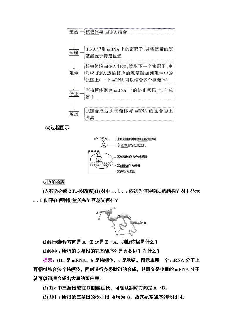2021高三生物人教版一轮教师用书：必修2第6单元第3讲　基因的表达第3页