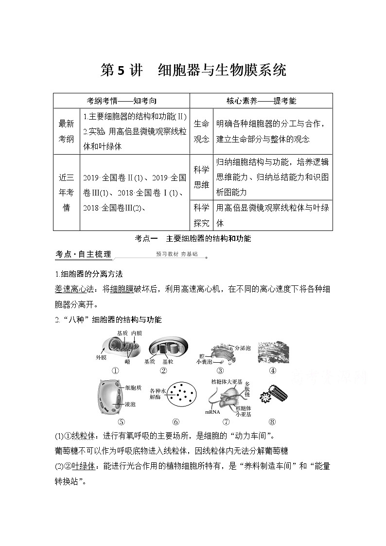 2021高考生物北师大版一轮教师用书：第二单元第5讲细胞器与生物膜系统01