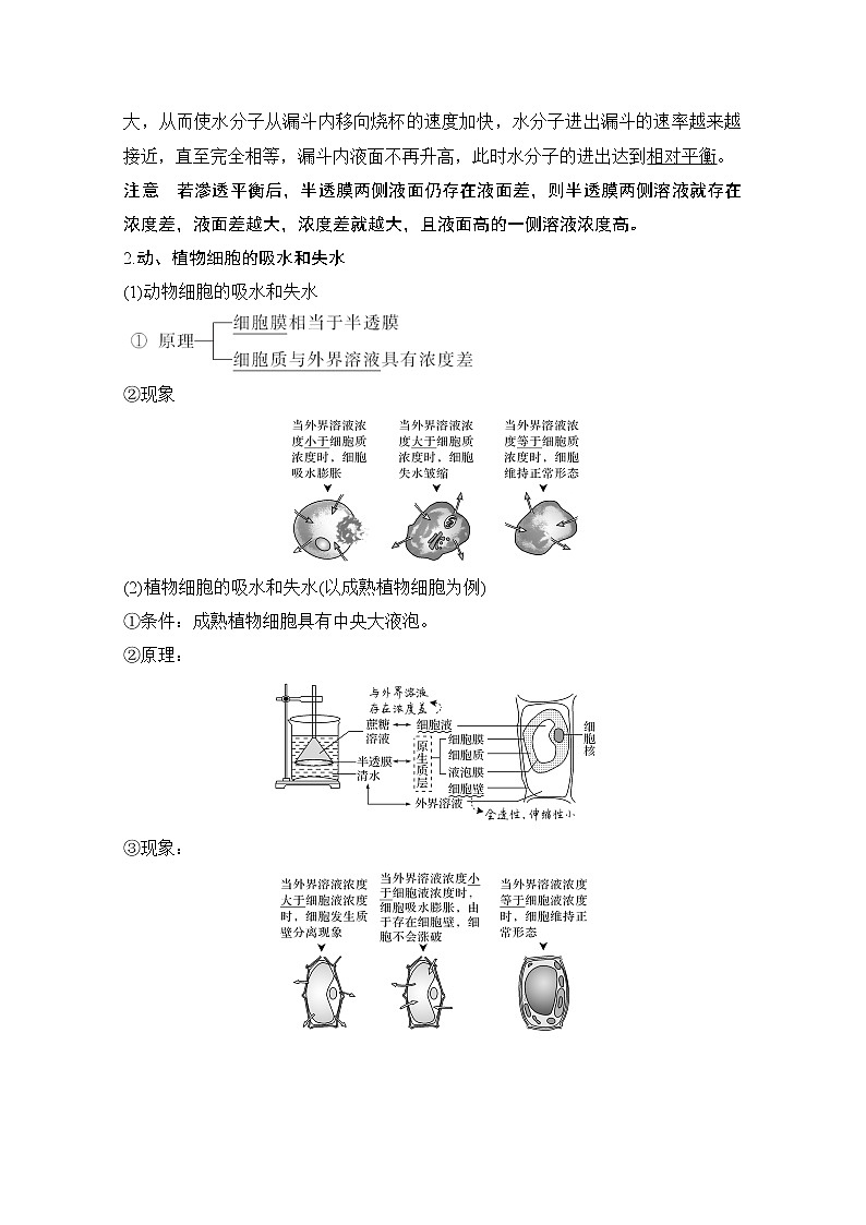 2021高考生物北师大版一轮教师用书：第二单元第6讲细胞内外的物质交换02