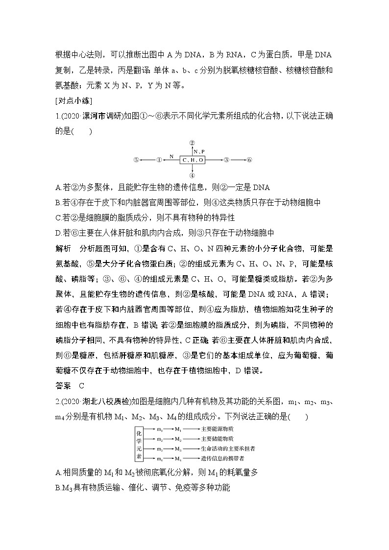 2021高考生物北师大版一轮教师用书：第一单元微专题2细胞中有机物的推断第2页