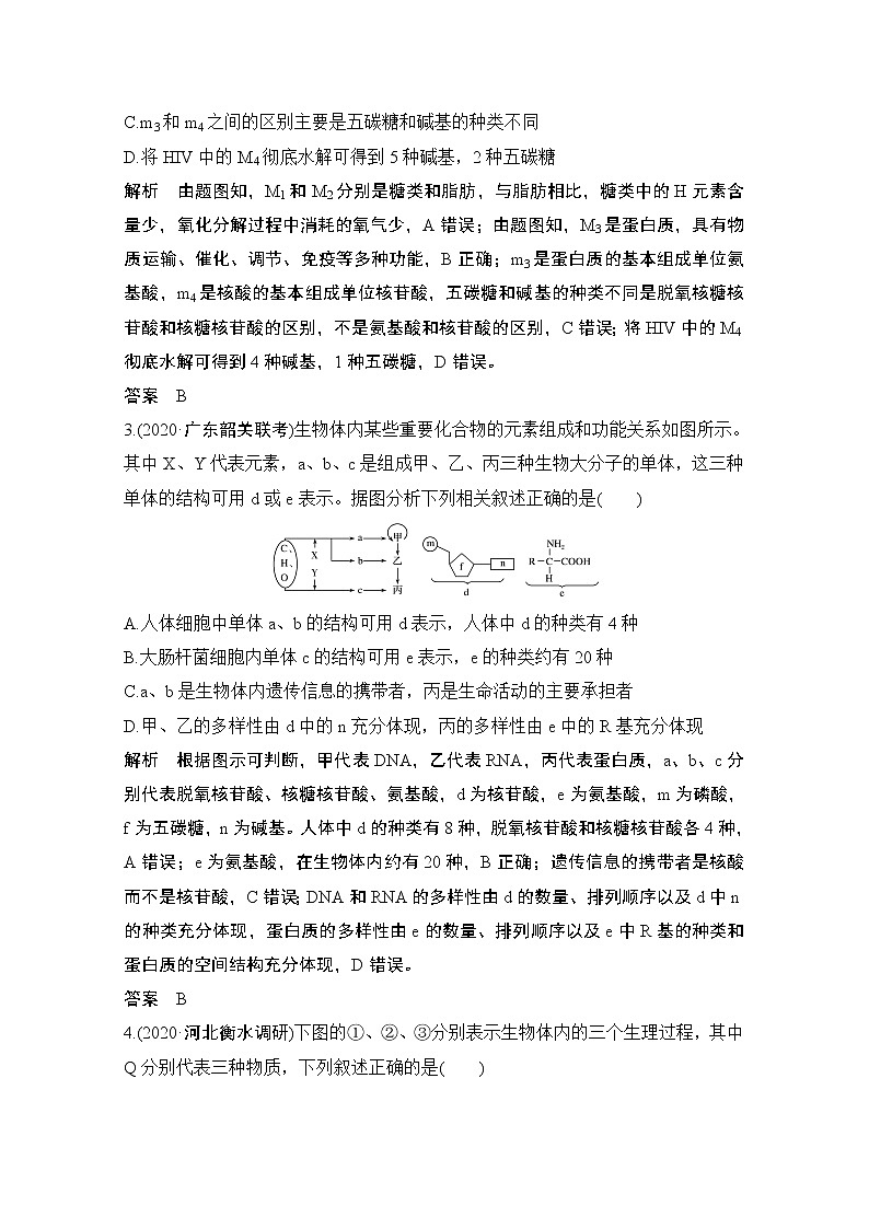 2021高考生物北师大版一轮教师用书：第一单元微专题2细胞中有机物的推断第3页
