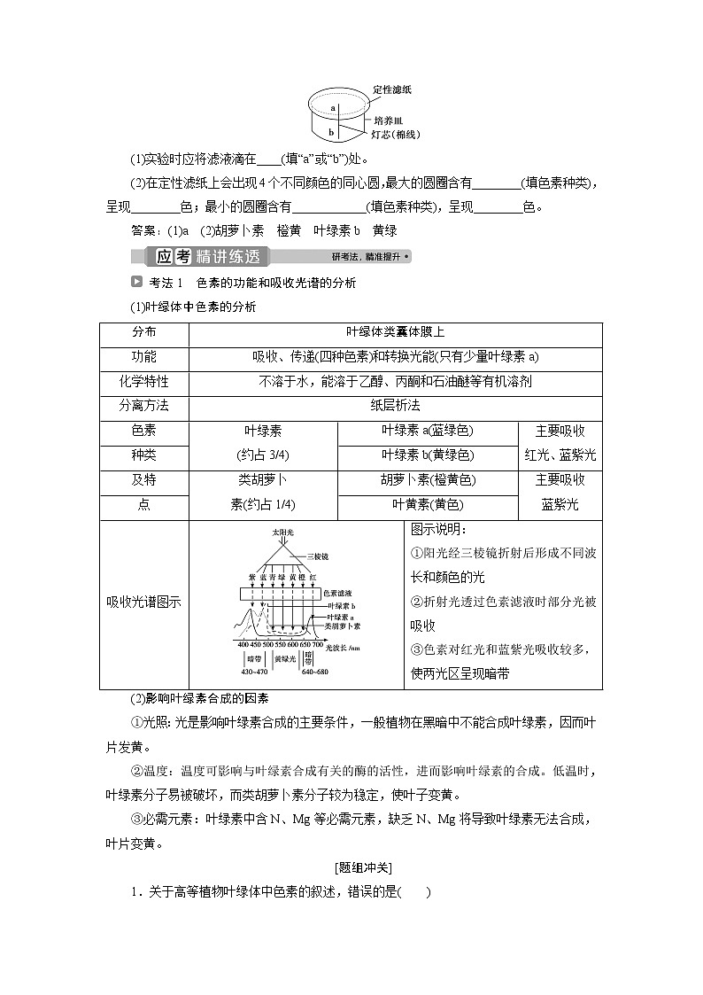 2021版浙江新高考选考生物一轮复习教师用书：第8讲　色素和光合作用的过程03