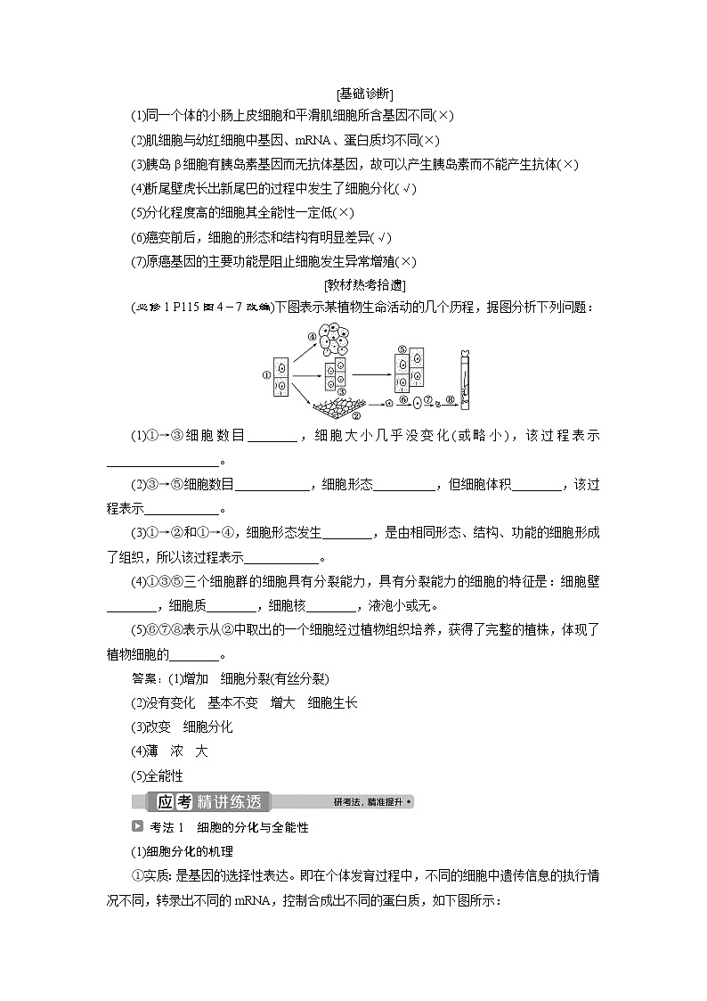 2021版浙江新高考选考生物一轮复习教师用书：第12讲　细胞的分化、衰老和凋亡02