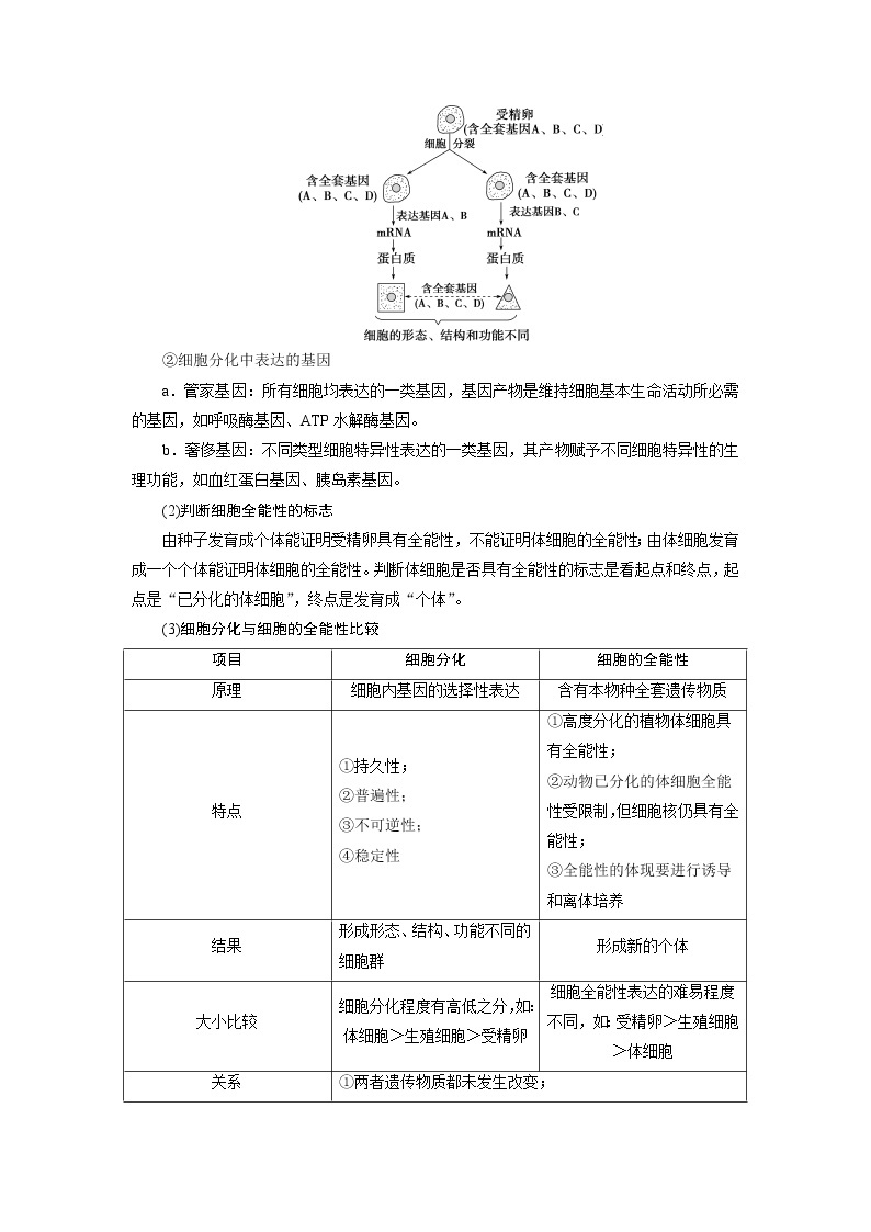 2021版浙江新高考选考生物一轮复习教师用书：第12讲　细胞的分化、衰老和凋亡03