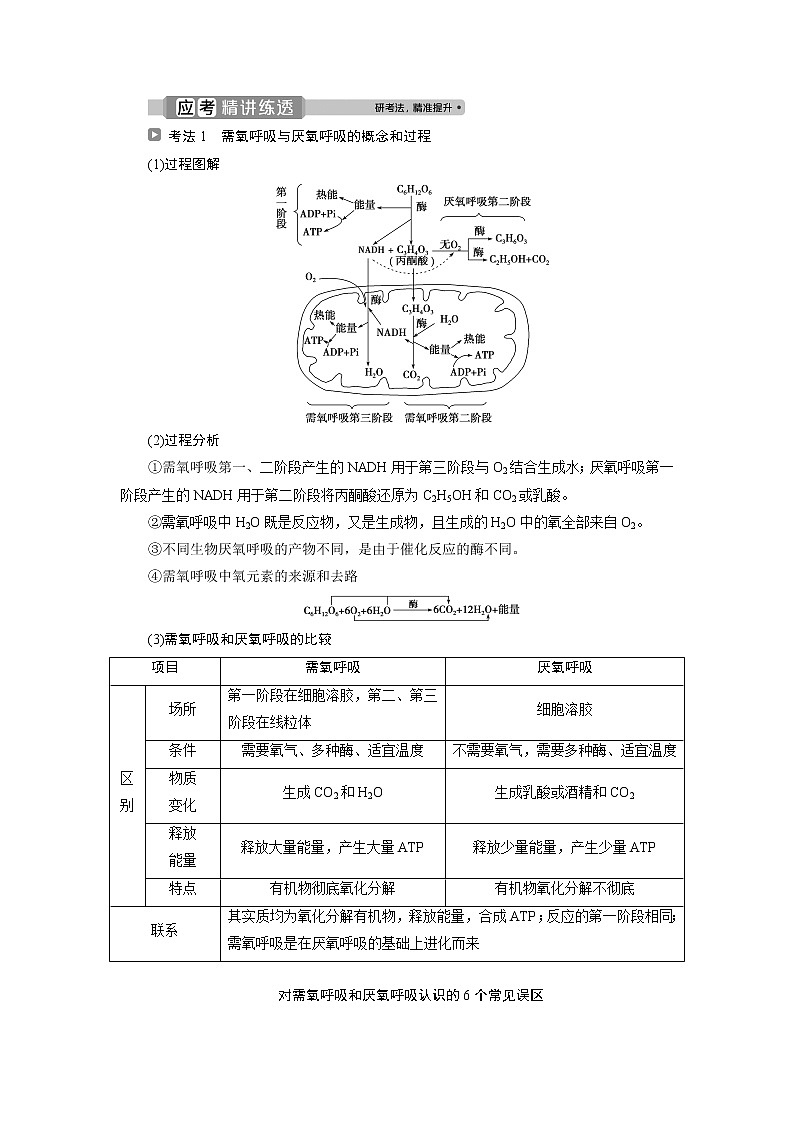 2021版浙江新高考选考生物一轮复习教师用书：第7讲　细胞呼吸03
