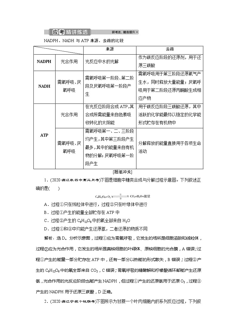 2021版浙江新高考选考生物一轮复习教师用书：第9讲　光合作用与细胞呼吸的异同及环境因素对光合速率的影响02
