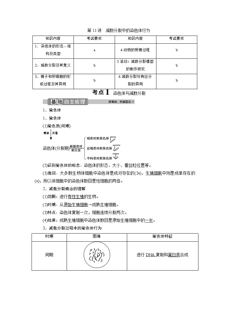 2021版浙江新高考选考生物一轮复习教师用书：第11讲　减数分裂中的染色体行为01