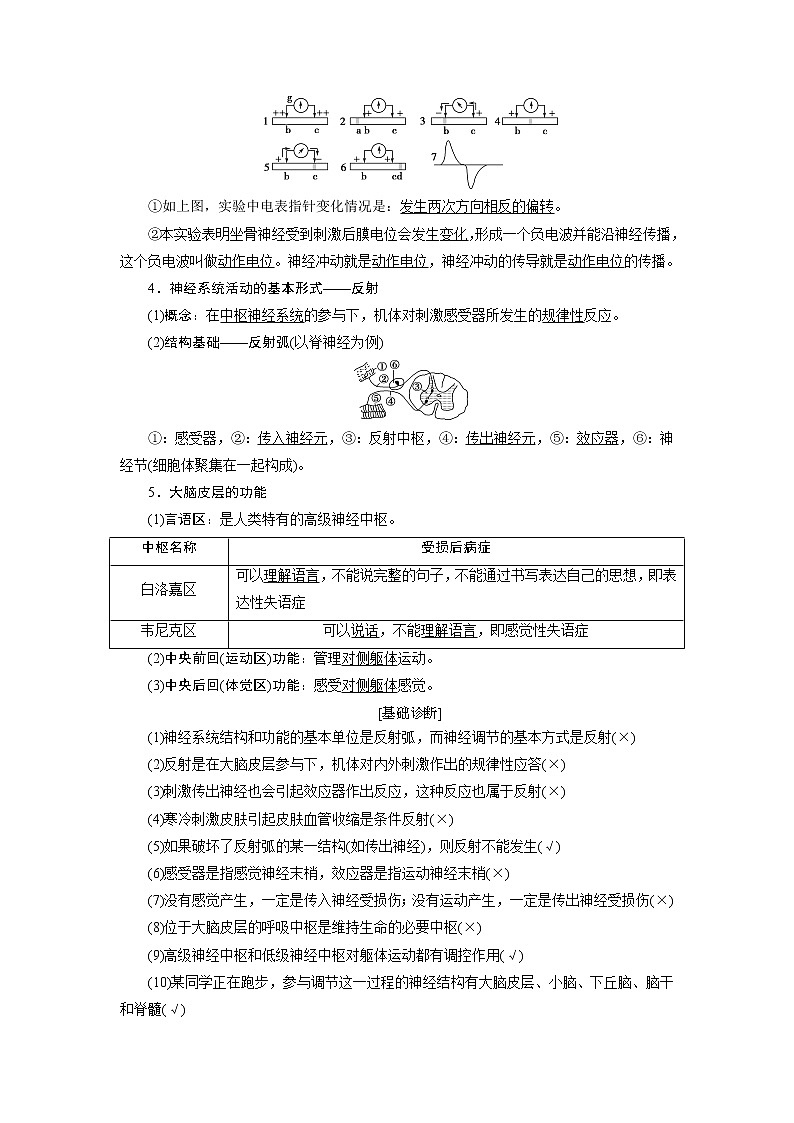 2021版浙江新高考选考生物一轮复习教师用书：第23讲　神经系统的结构与功能02