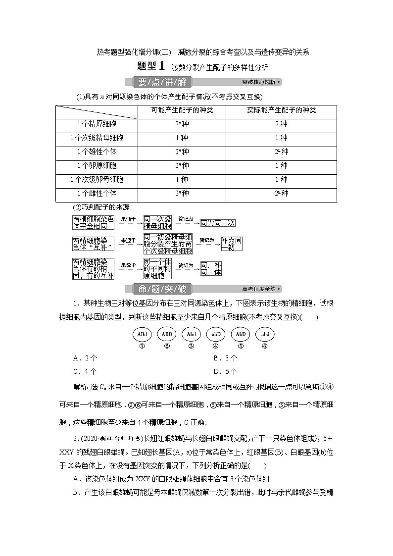 2021版浙江新高考选考生物一轮复习教师用书：热考题型强化增分课（二）　减数分裂的综合考查以及与遗传变异的关系01