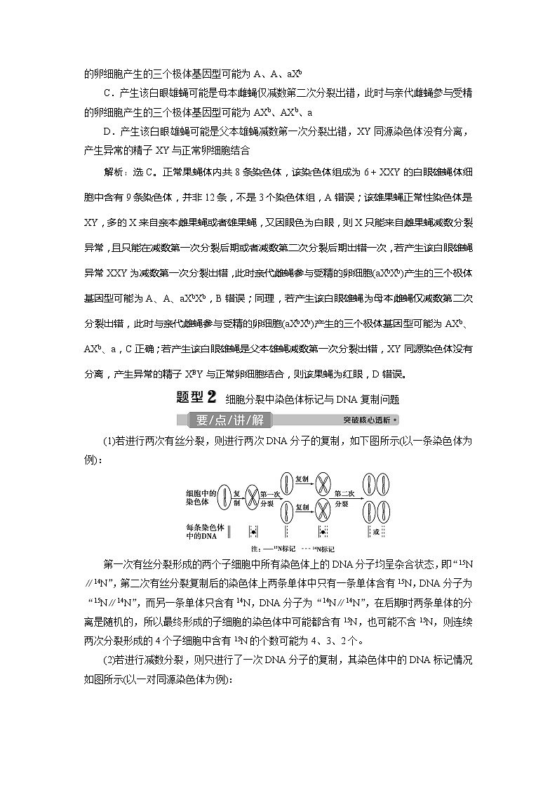 2021版浙江新高考选考生物一轮复习教师用书：热考题型强化增分课（二）　减数分裂的综合考查以及与遗传变异的关系02