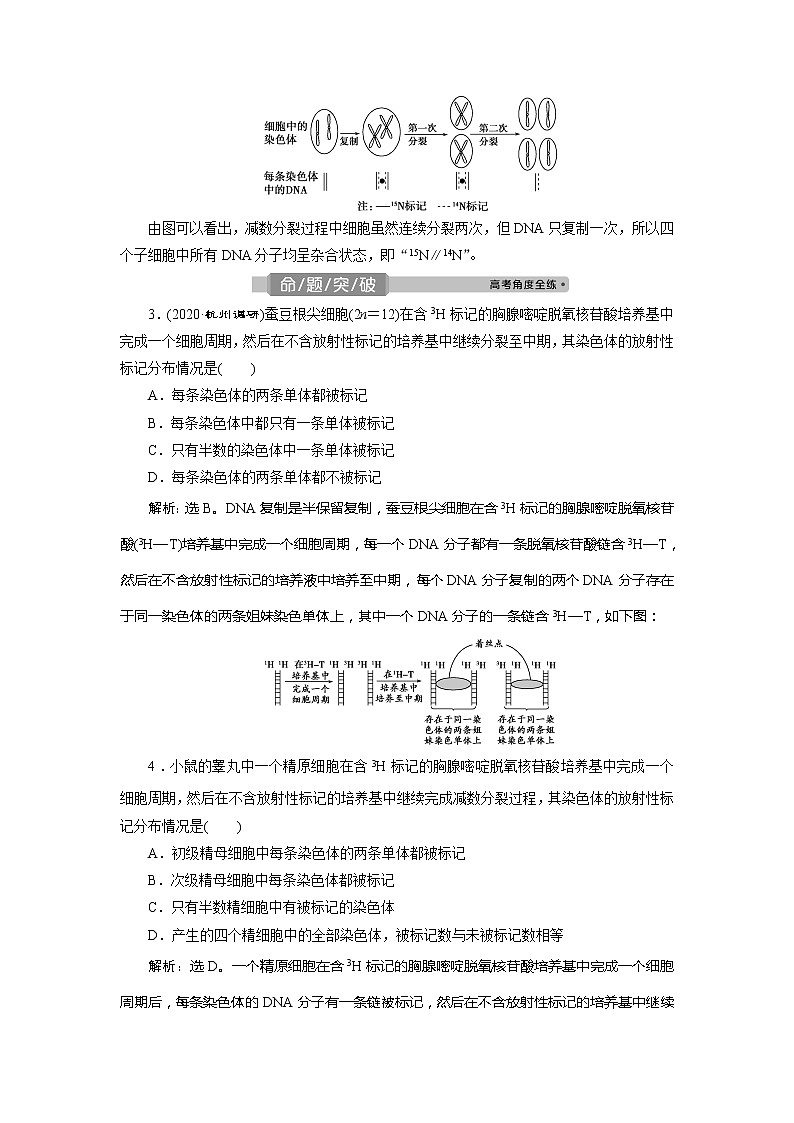2021版浙江新高考选考生物一轮复习教师用书：热考题型强化增分课（二）　减数分裂的综合考查以及与遗传变异的关系03