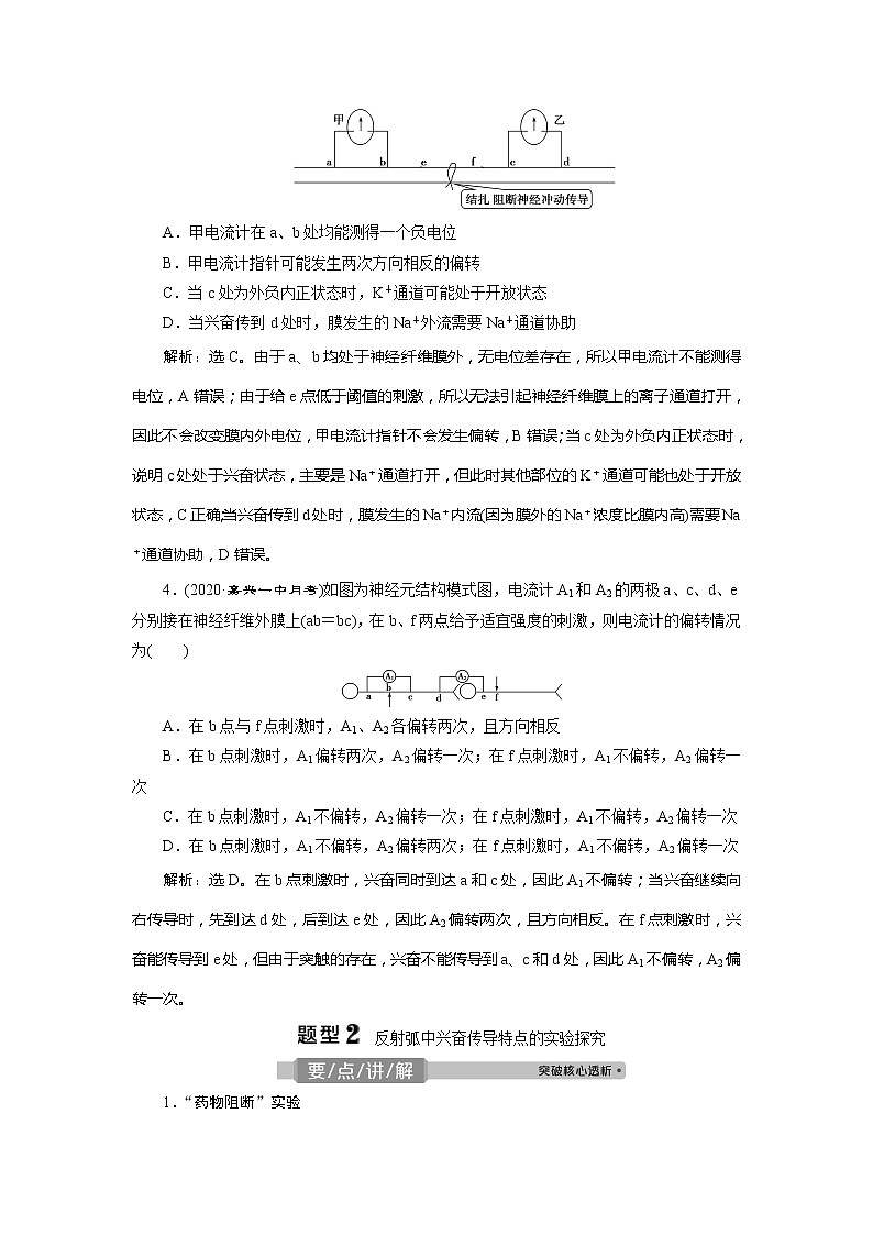 2021版浙江新高考选考生物一轮复习教师用书：热考题型强化增分课（四）　兴奋测定中的电流表指针偏转及探究实验分析第3页