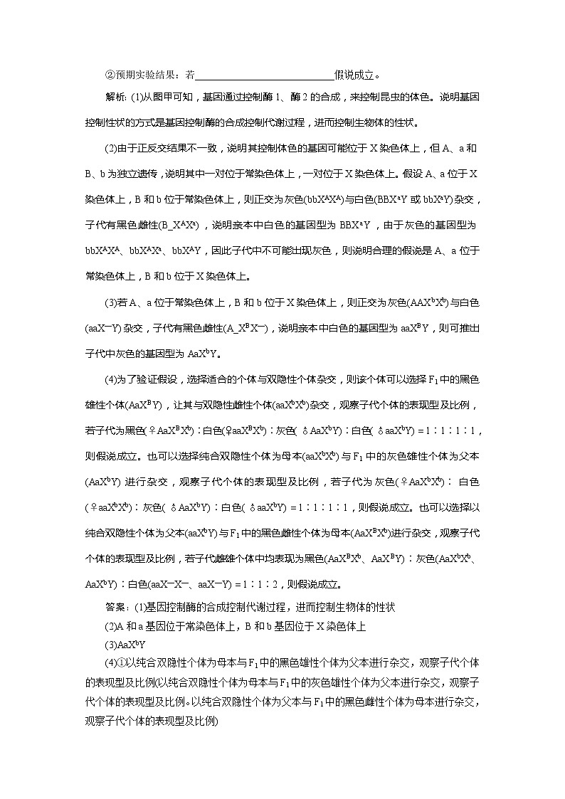 2021版浙江新高考选考生物一轮复习教师用书：素养培优讲座7　利用假说—演绎的思想完成基因定位的实验设计03