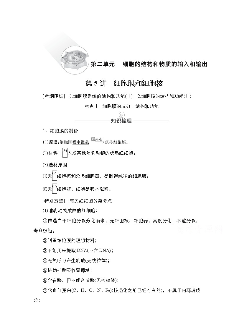 2021届高考生物人教版一轮创新教学案：第2单元　第5讲　细胞膜和细胞核01