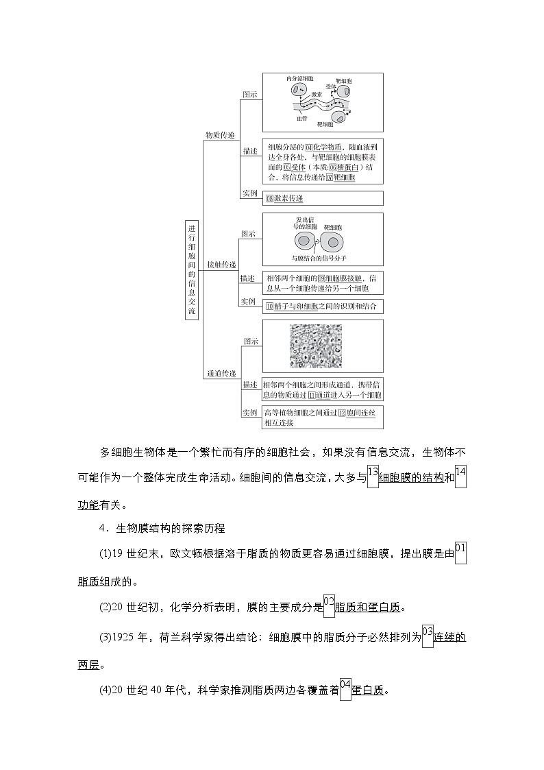 2021届高考生物人教版一轮创新教学案：第2单元　第5讲　细胞膜和细胞核03