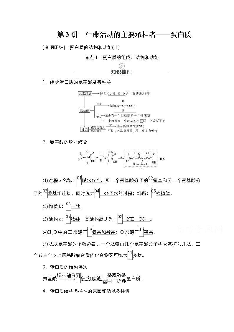 2021届高考生物人教版一轮创新教学案：第1单元　第3讲　生命活动的主要承担者——蛋白质01