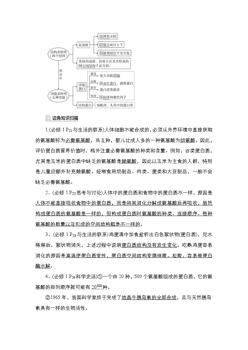 2021届高考生物人教版一轮创新教学案：第1单元　第3讲　生命活动的主要承担者——蛋白质02