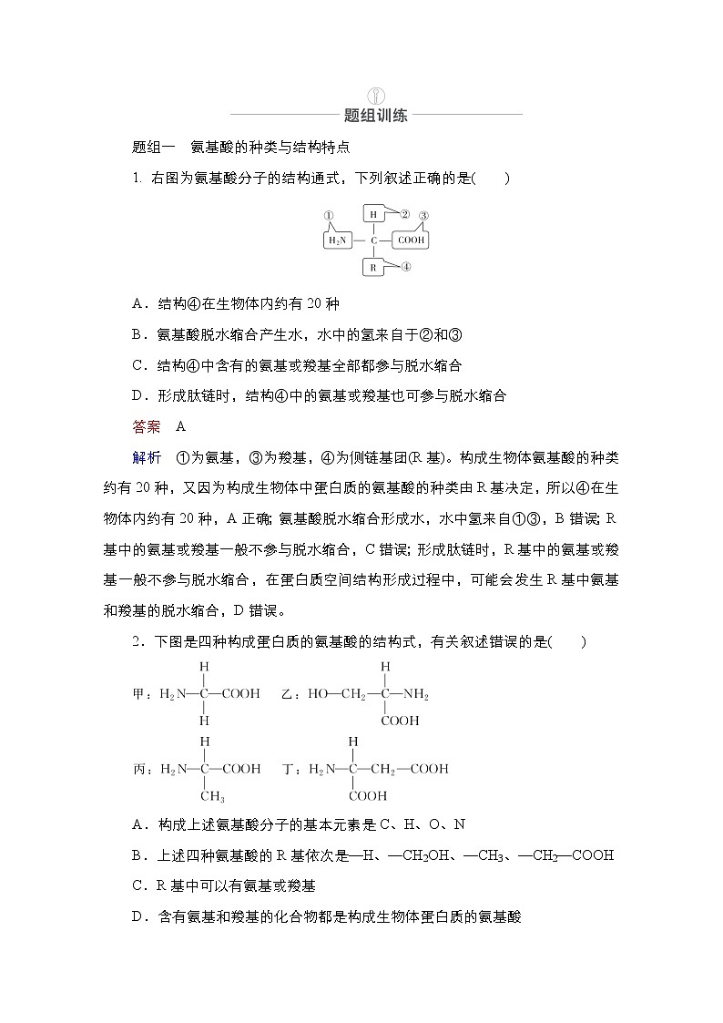 2021届高考生物人教版一轮创新教学案：第1单元　第3讲　生命活动的主要承担者——蛋白质03