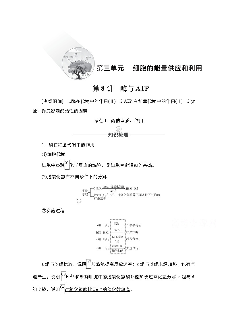 2021届高考生物人教版一轮创新教学案：第3单元　第8讲　酶与ATP第1页