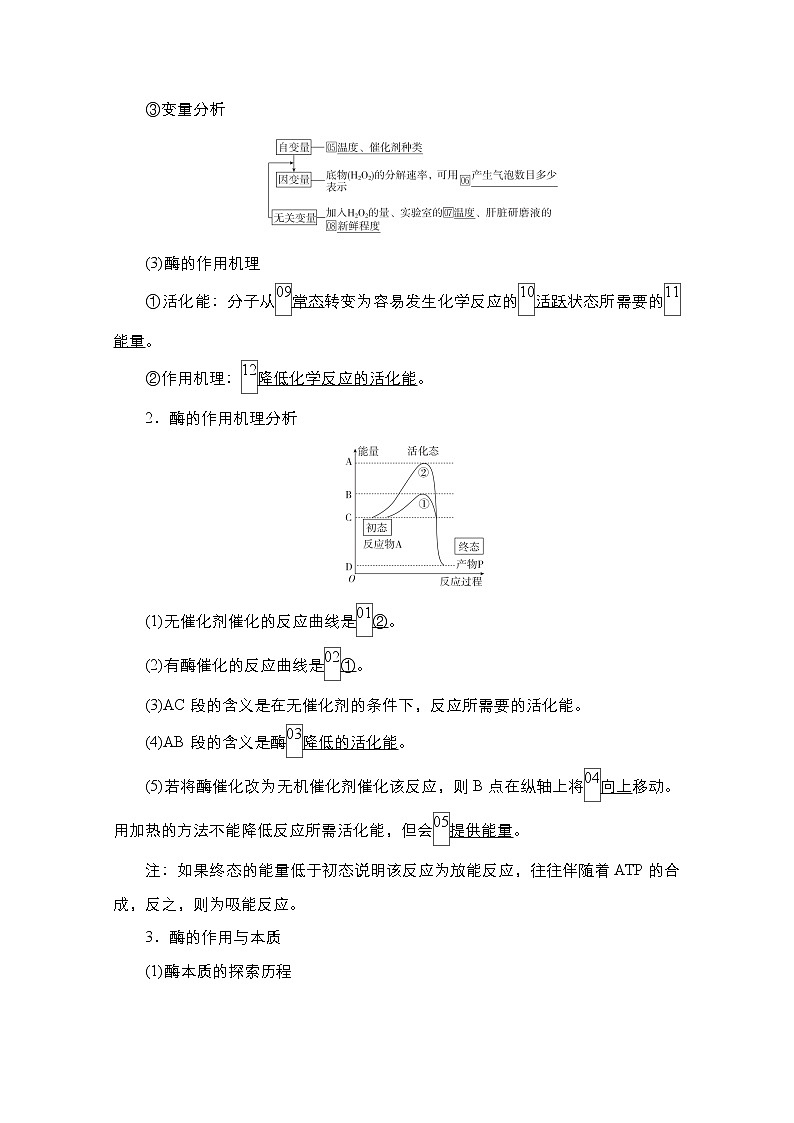 2021届高考生物人教版一轮创新教学案：第3单元　第8讲　酶与ATP第2页