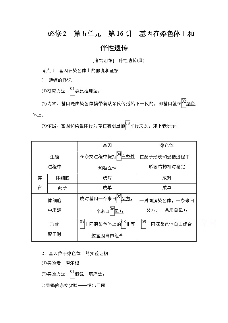 2021届高考生物人教版一轮创新教学案：第5单元第16讲基因在染色体上和伴性遗传01