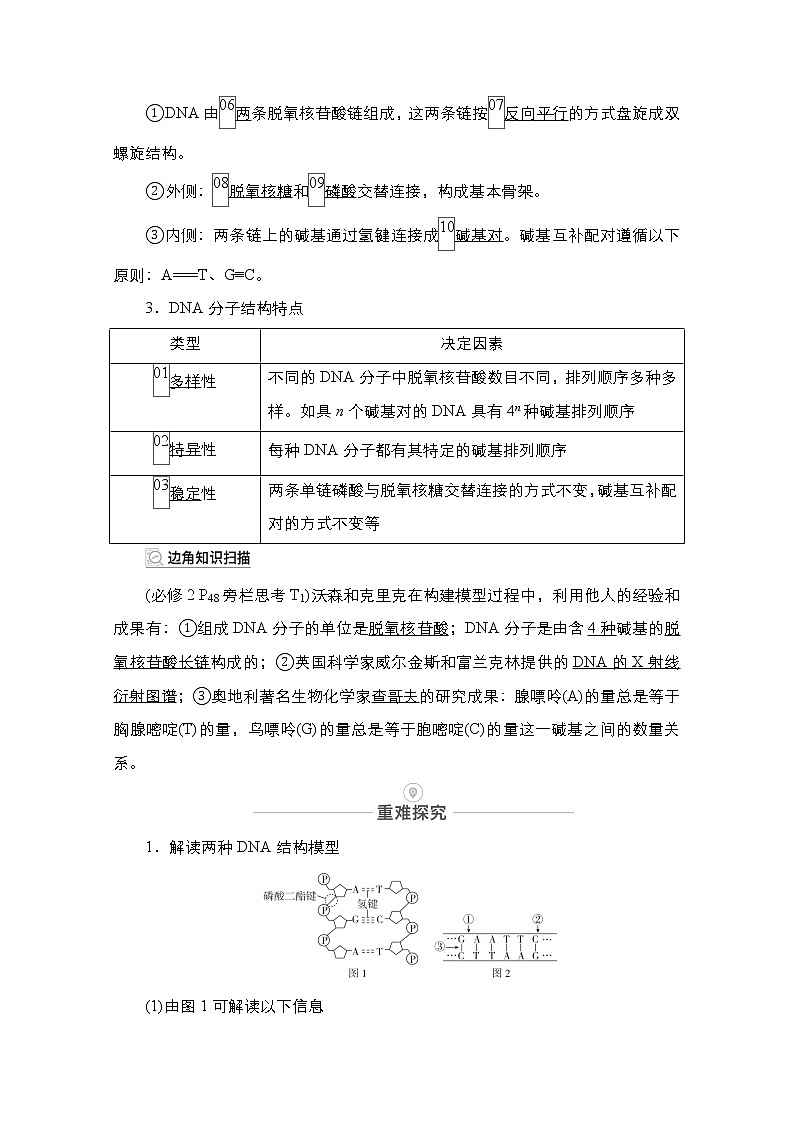 2021届高考生物人教版一轮创新教学案：第6单元第19讲DNA分子的结构、复制以及基因的本质第2页